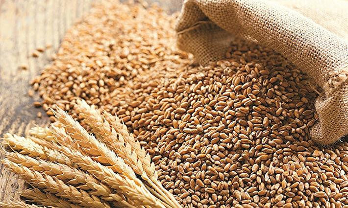 Buğday Fiyatları Rekor Kırdı
